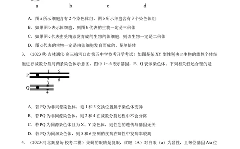 第2讲染色体变异（原卷版）_通用版（老高考）复习资料_2024年复习资料_完备战2024年高考生物一轮复习考点帮（全国通用）_专题八生物的变异和进化