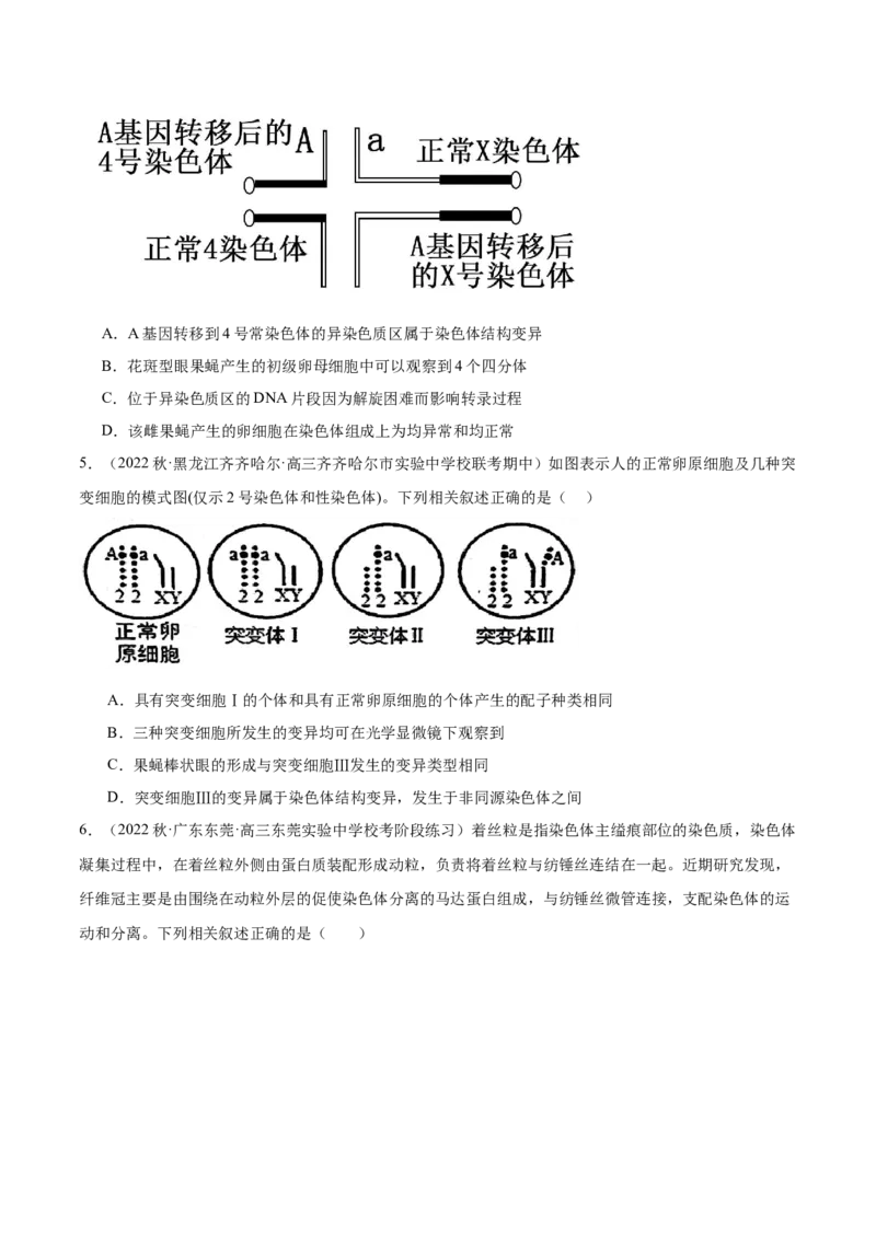 第2讲染色体变异（原卷版）_通用版（老高考）复习资料_2024年复习资料_完备战2024年高考生物一轮复习考点帮（全国通用）_专题八生物的变异和进化