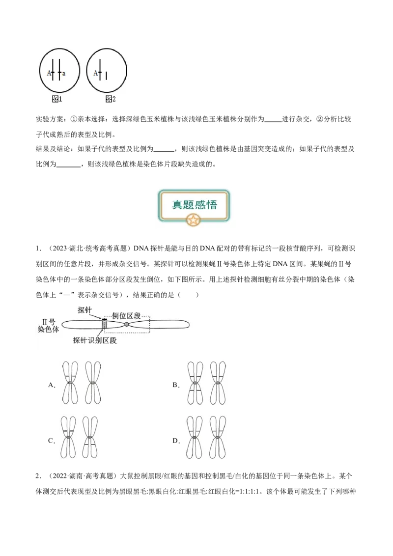 第2讲染色体变异（原卷版）_通用版（老高考）复习资料_2024年复习资料_完备战2024年高考生物一轮复习考点帮（全国通用）_专题八生物的变异和进化
