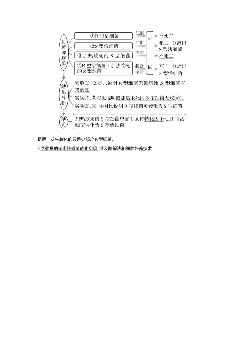 第16讲　人类对遗传物质的探索过程_新高考复习资料_2023年新高考复习资料_一轮复习_2023年新高考大一轮复习讲义_2023年高考生物一轮复习讲义（新人教新高考）_赠补充习题