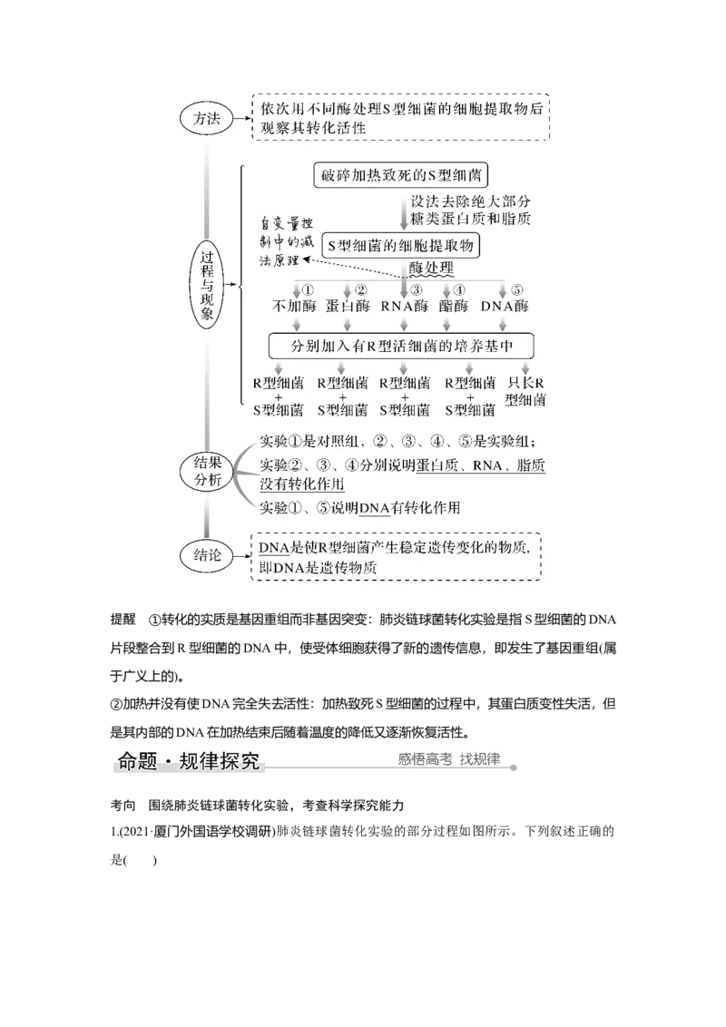 第16讲　人类对遗传物质的探索过程_新高考复习资料_2023年新高考复习资料_一轮复习_2023年新高考大一轮复习讲义_2023年高考生物一轮复习讲义（新人教新高考）_赠补充习题