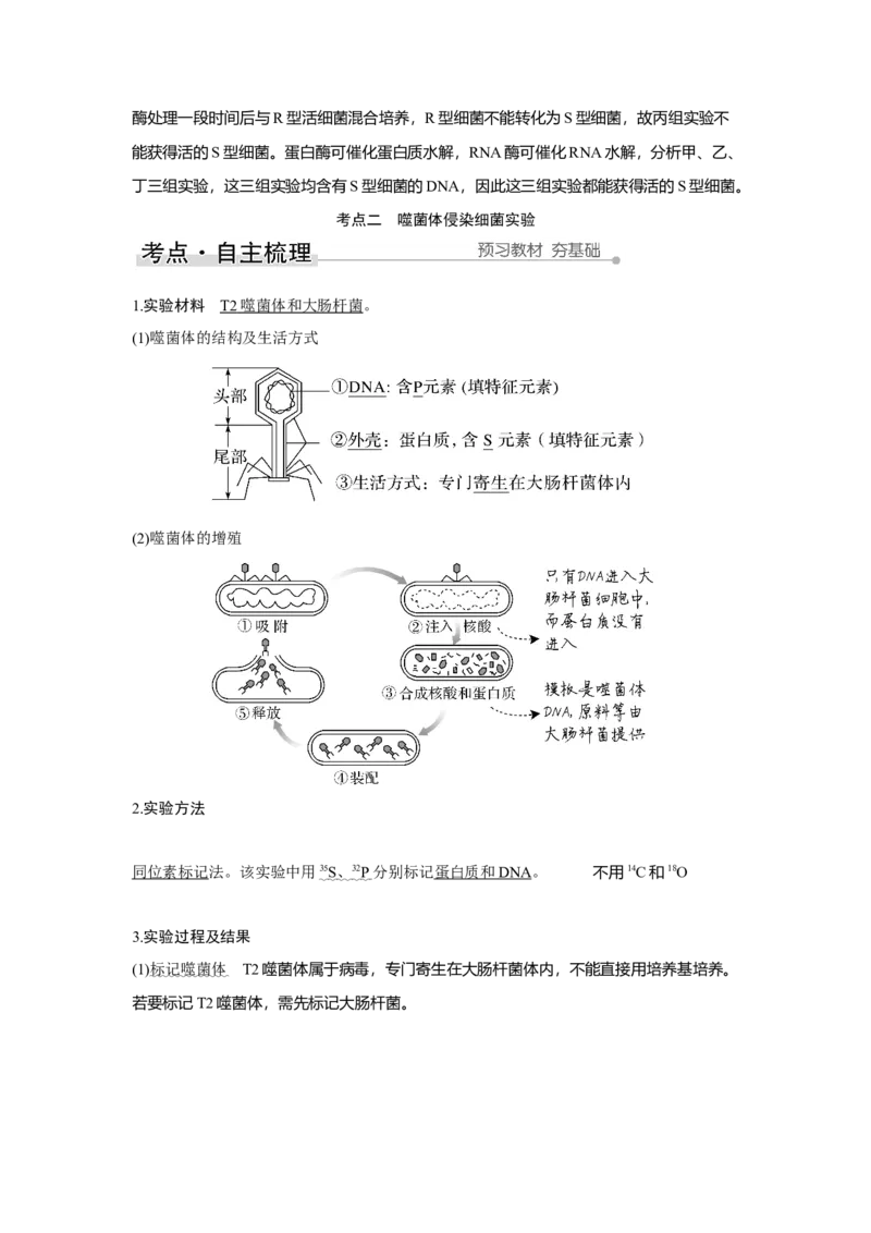 第16讲　人类对遗传物质的探索过程_新高考复习资料_2023年新高考复习资料_一轮复习_2023年新高考大一轮复习讲义_2023年高考生物一轮复习讲义（新人教新高考）_赠补充习题