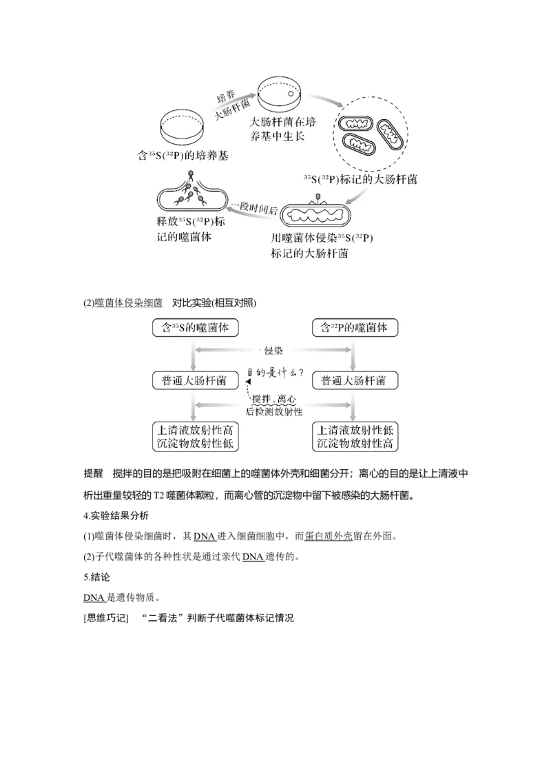 第16讲　人类对遗传物质的探索过程_新高考复习资料_2023年新高考复习资料_一轮复习_2023年新高考大一轮复习讲义_2023年高考生物一轮复习讲义（新人教新高考）_赠补充习题