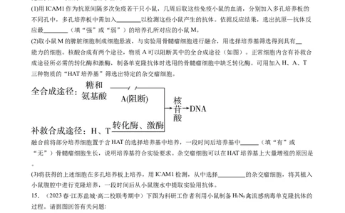 第41讲动物细胞工程（练习）（原卷版）_新高考复习资料_2024年新高考复习资料_一轮复习资料_完2024年高考生物一轮复习讲练测(课件+讲义+练习)（新高考）_讲义+练习