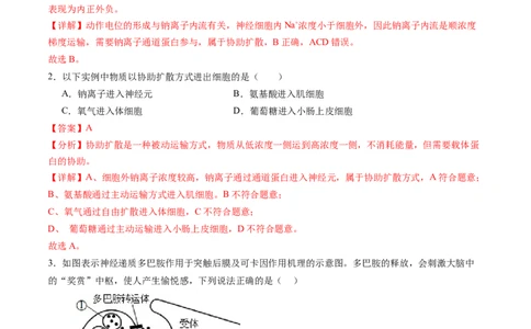第26.2讲神经冲动的产生、传导和传递（练习）（解析版）_新高考复习资料_2024年新高考复习资料_一轮复习资料_完2024年高考生物一轮复习讲练测(课件+讲义+练习)（新高考）_讲义+练习