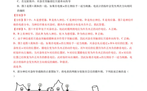 第26.2讲神经冲动的产生、传导和传递（练习）（解析版）_新高考复习资料_2024年新高考复习资料_一轮复习资料_完2024年高考生物一轮复习讲练测(课件+讲义+练习)（新高考）_讲义+练习