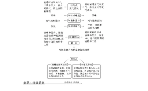 第36讲生物技术在食品加工及其他方面的应用_通用版（老高考）复习资料_2023年复习资料_一轮复习_2023年高考生物一轮复习讲义+课件（全国版）_2023年高考生物一轮复习讲义（全国版）