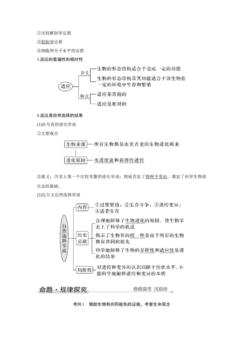 第21讲　生物的进化_新高考复习资料_2023年新高考复习资料_一轮复习_2023年新高考大一轮复习讲义_2023年高考生物一轮复习讲义（新人教新高考）_赠补充习题_Word版题库第七~十单元