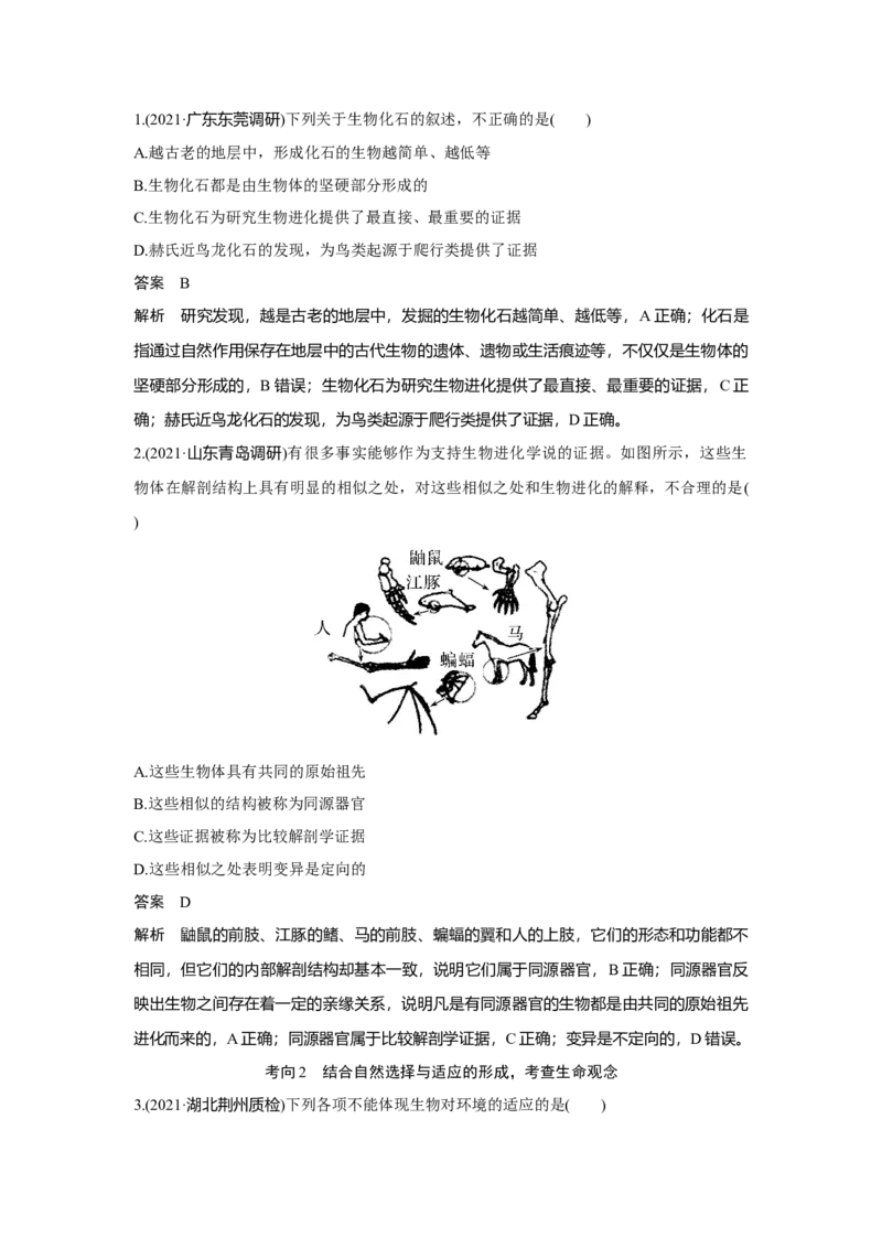 第21讲　生物的进化_新高考复习资料_2023年新高考复习资料_一轮复习_2023年新高考大一轮复习讲义_2023年高考生物一轮复习讲义（新人教新高考）_赠补充习题_Word版题库第七~十单元