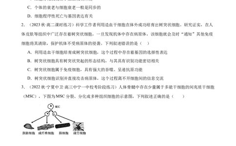 第2讲细胞分化、衰老、死亡（原卷版）_通用版（老高考）复习资料_2024年复习资料_完备战2024年高考生物一轮复习考点帮（全国通用）_专题五细胞的生命历程