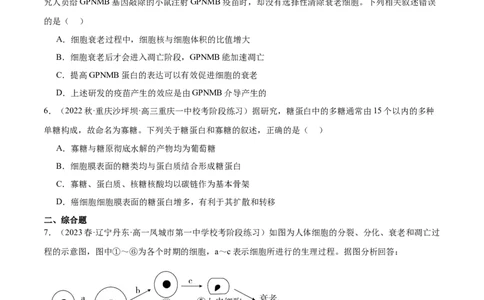 第2讲细胞分化、衰老、死亡（原卷版）_通用版（老高考）复习资料_2024年复习资料_完备战2024年高考生物一轮复习考点帮（全国通用）_专题五细胞的生命历程