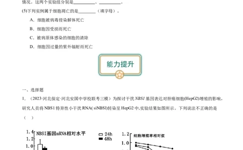 第2讲细胞分化、衰老、死亡（原卷版）_通用版（老高考）复习资料_2024年复习资料_完备战2024年高考生物一轮复习考点帮（全国通用）_专题五细胞的生命历程