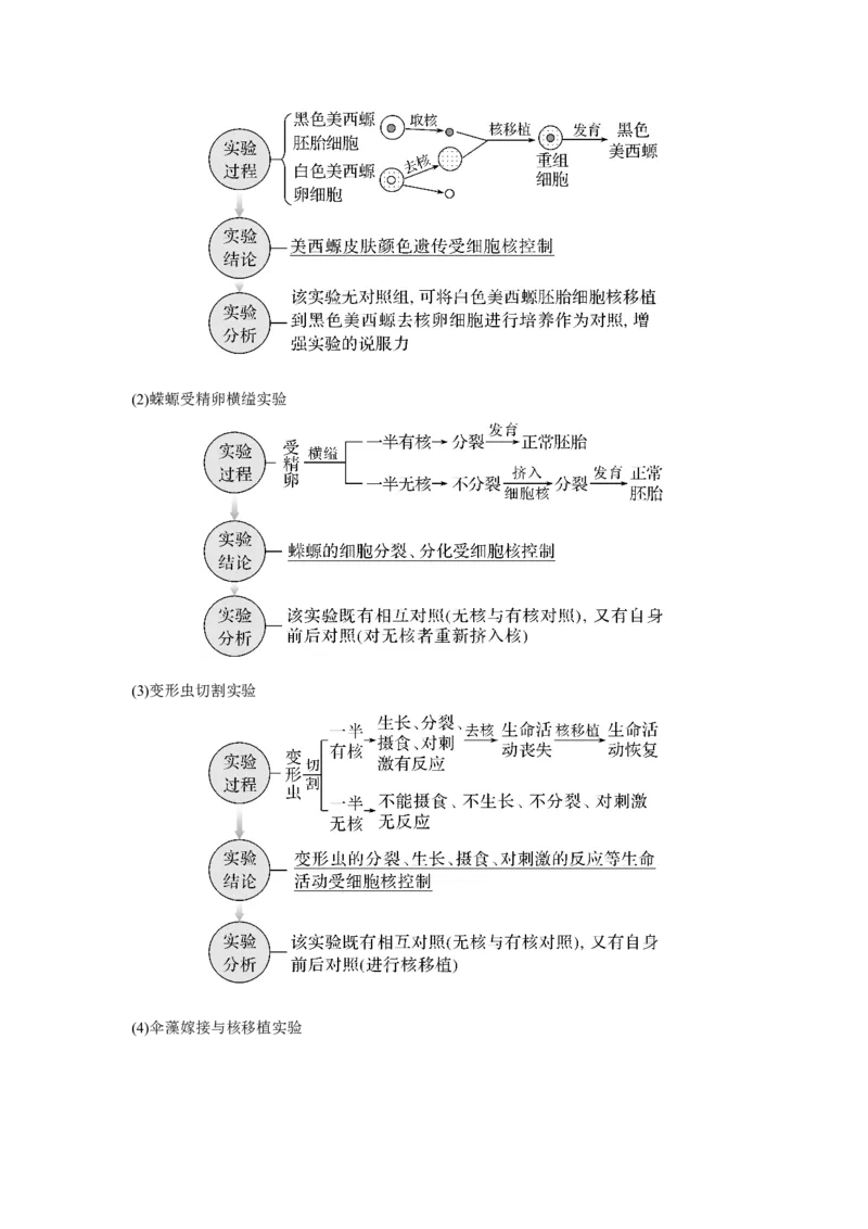 第4讲　细胞膜与细胞核_新高考复习资料_2023年新高考复习资料_一轮复习_2023年新高考大一轮复习讲义_2023年高考生物一轮复习讲义（新人教新高考）_赠补充习题