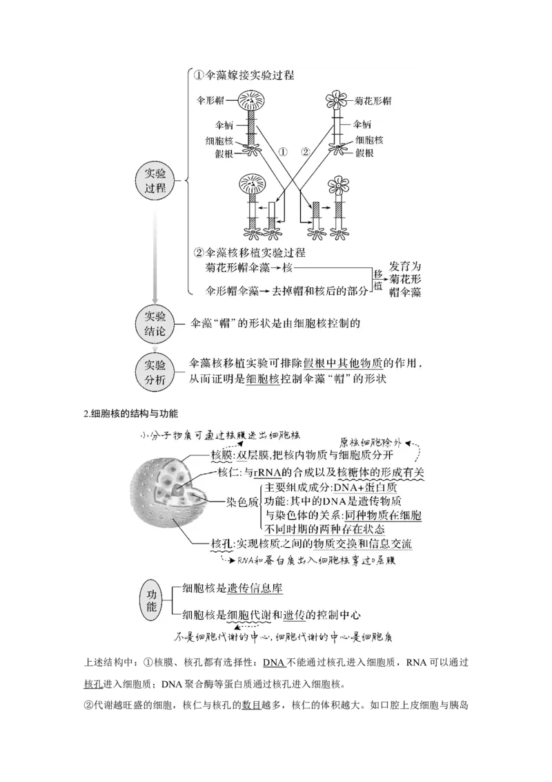 第4讲　细胞膜与细胞核_新高考复习资料_2023年新高考复习资料_一轮复习_2023年新高考大一轮复习讲义_2023年高考生物一轮复习讲义（新人教新高考）_赠补充习题