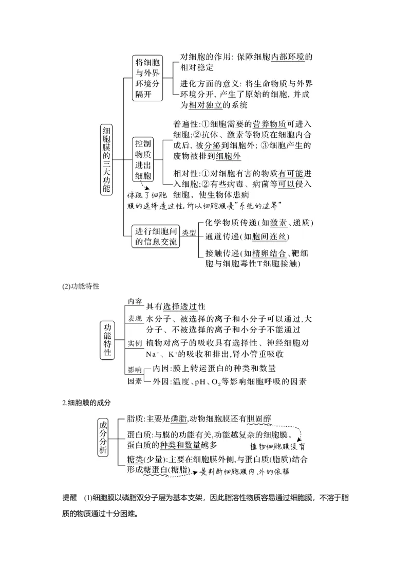 第4讲　细胞膜与细胞核_新高考复习资料_2023年新高考复习资料_一轮复习_2023年新高考大一轮复习讲义_2023年高考生物一轮复习讲义（新人教新高考）_赠补充习题