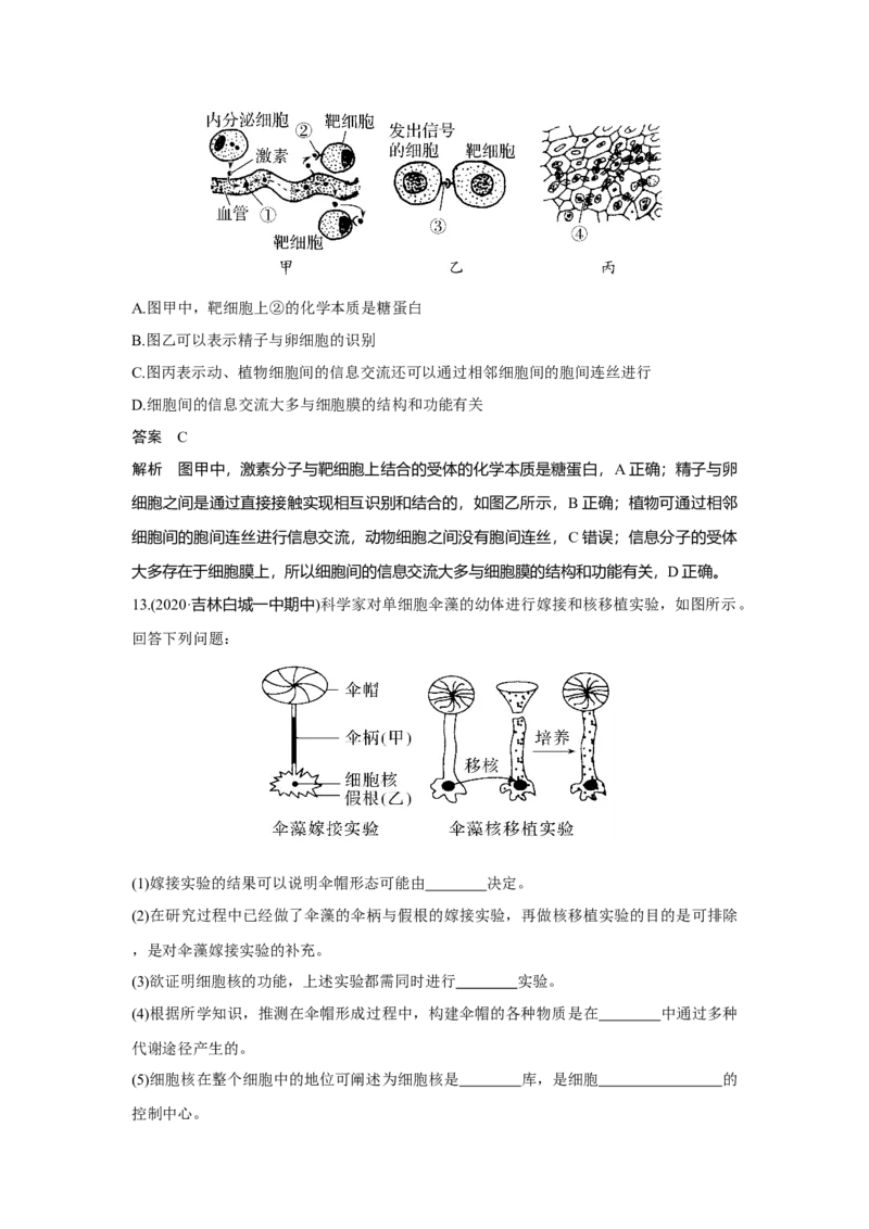 第4讲　细胞膜与细胞核_新高考复习资料_2023年新高考复习资料_一轮复习_2023年新高考大一轮复习讲义_2023年高考生物一轮复习讲义（新人教新高考）_赠补充习题