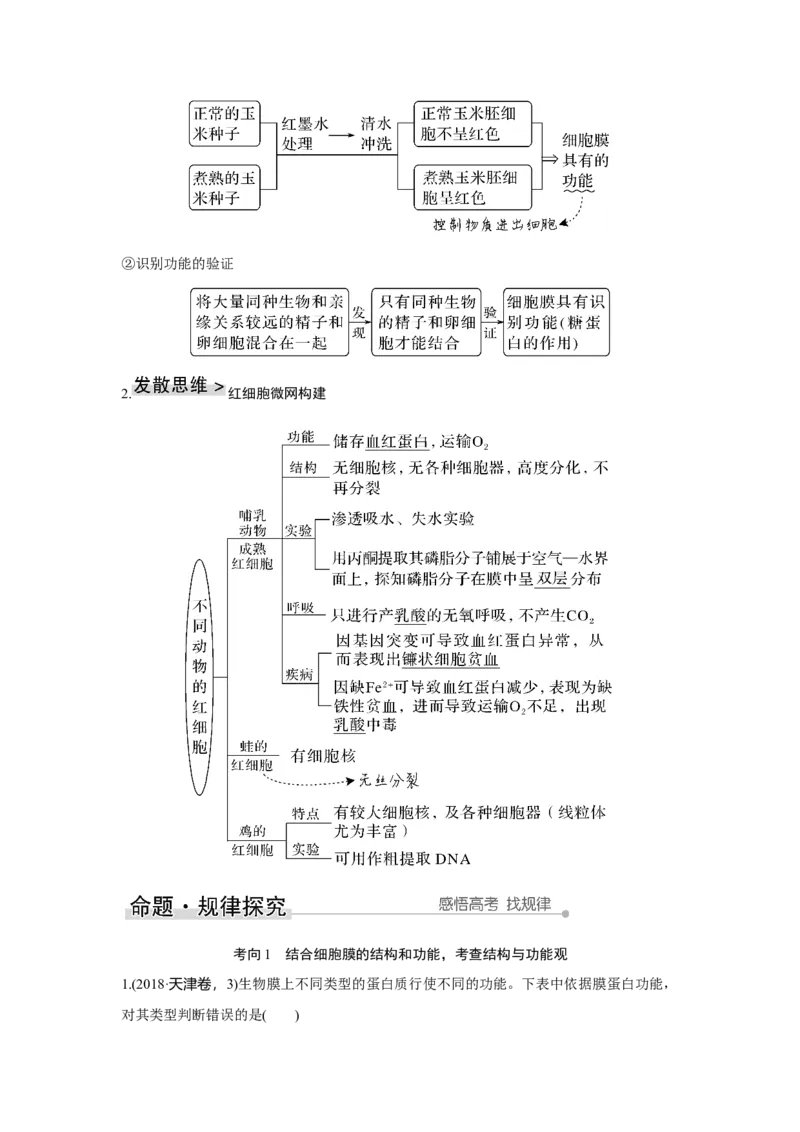 第4讲　细胞膜与细胞核_新高考复习资料_2023年新高考复习资料_一轮复习_2023年新高考大一轮复习讲义_2023年高考生物一轮复习讲义（新人教新高考）_赠补充习题