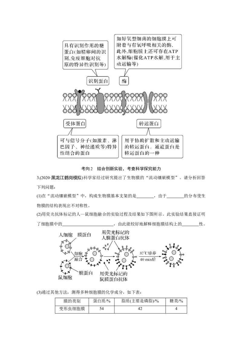 第4讲　细胞膜与细胞核_新高考复习资料_2023年新高考复习资料_一轮复习_2023年新高考大一轮复习讲义_2023年高考生物一轮复习讲义（新人教新高考）_赠补充习题