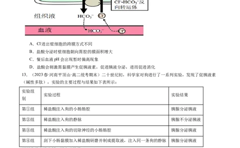 第27讲体液调节（练习）（原卷版）_新高考复习资料_2024年新高考复习资料_一轮复习资料_完2024年高考生物一轮复习讲练测(课件+讲义+练习)（新高考）_讲义+练习