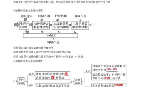 第36讲生态系统的功能（讲义）（学生版）_新高考复习资料_2024年新高考复习资料_一轮复习资料_完2024年高考生物一轮复习讲练测(课件+讲义+练习)（新高考）_讲义+练习