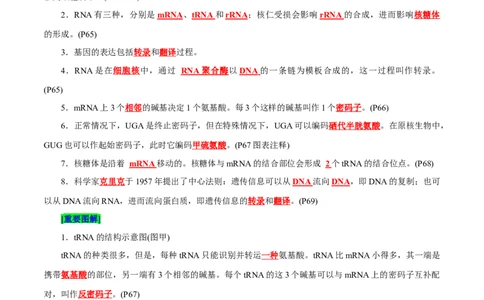 第4章基因的表达（背诵版）_2025年新高考资料_专项复习_晨读晚默备战2025年高考生物必背知识清单_第4章基因的表达-晨读晚默备战2025年高考生物必背知识清单