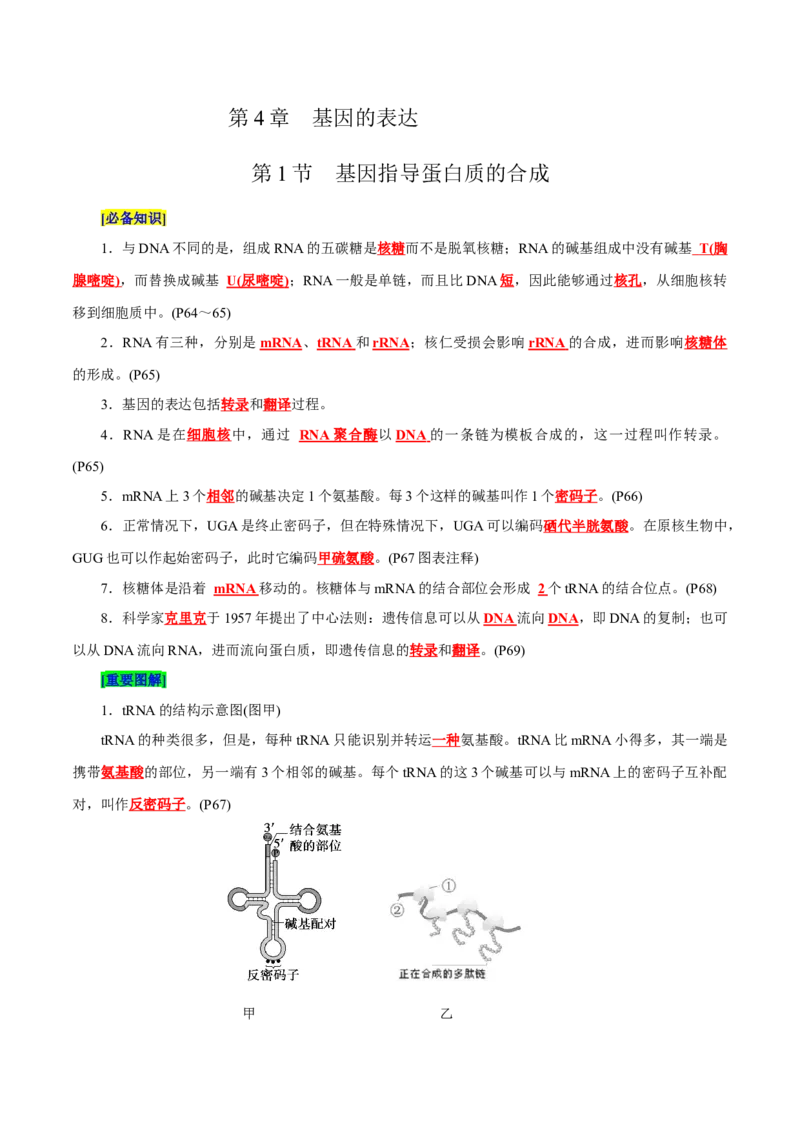 第4章基因的表达（背诵版）_2025年新高考资料_专项复习_晨读晚默备战2025年高考生物必背知识清单_第4章基因的表达-晨读晚默备战2025年高考生物必背知识清单