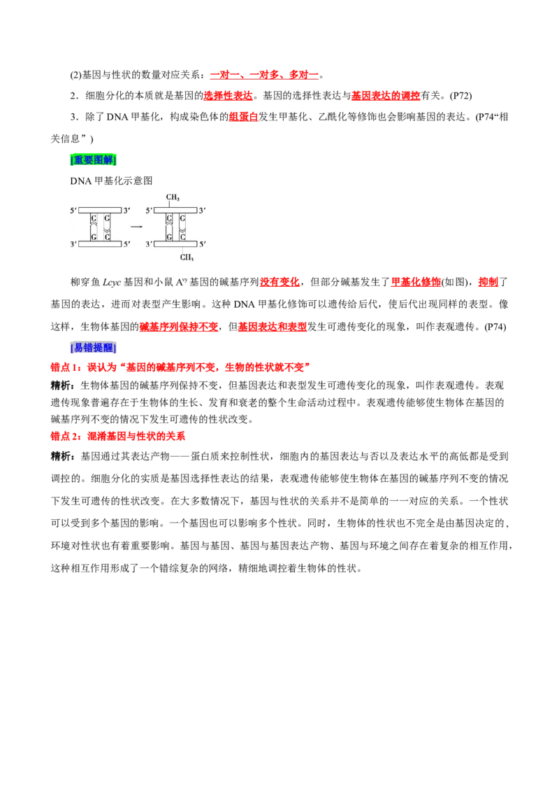 第4章基因的表达（背诵版）_2025年新高考资料_专项复习_晨读晚默备战2025年高考生物必背知识清单_第4章基因的表达-晨读晚默备战2025年高考生物必背知识清单