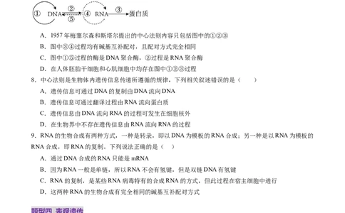第21讲基因的表达、基因与性状的关系（练习）（原卷版）_2025年新高考资料_一轮复习_2025年高考生物一轮复习讲练测（新教材新高考）