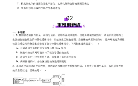 第21讲基因的表达、基因与性状的关系（练习）（原卷版）_2025年新高考资料_一轮复习_2025年高考生物一轮复习讲练测（新教材新高考）