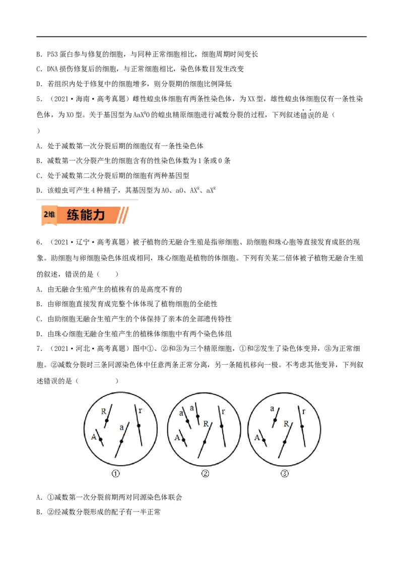 第20练染色体变异（原卷版）_新高考复习资料_2023年新高考复习资料_一轮复习_2023年高考生物一轮复习小题多维练（新高考专用）