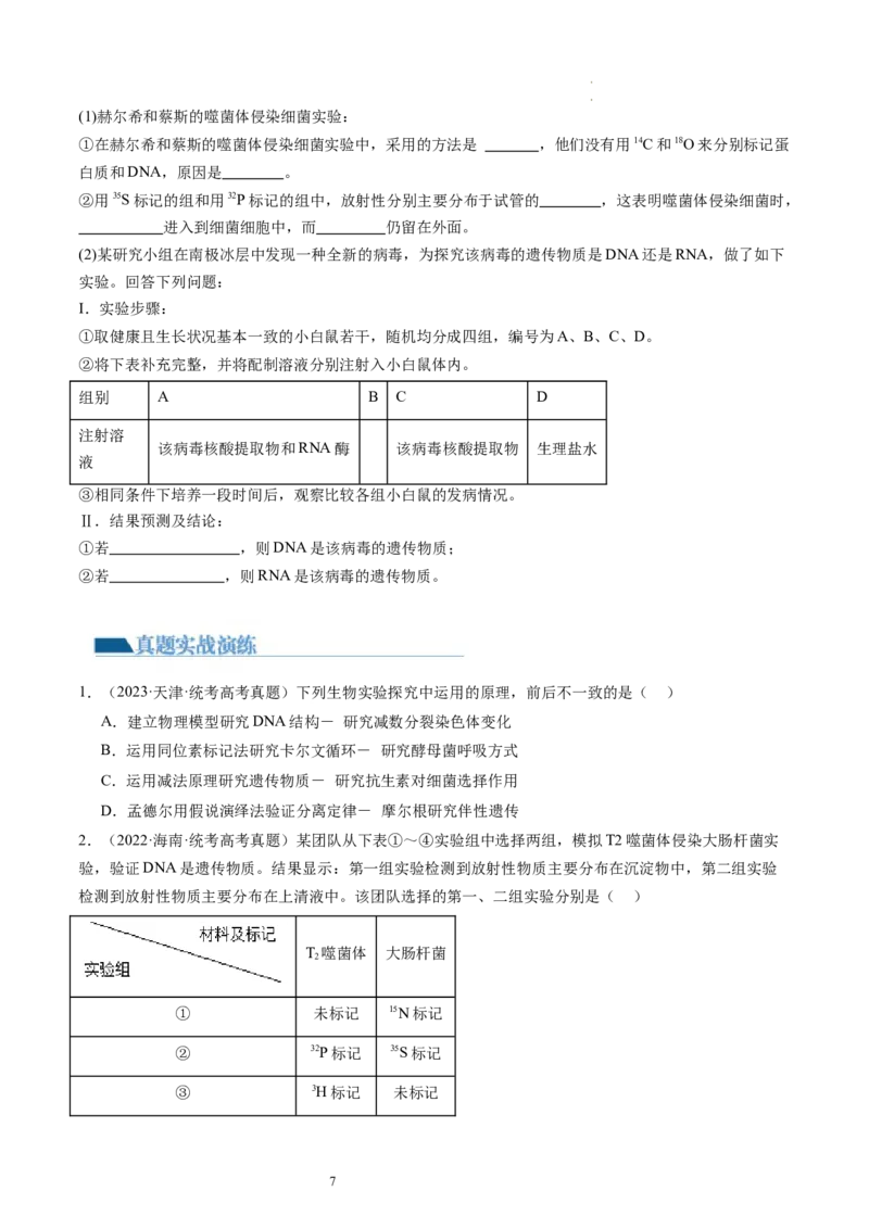第20讲DNA是主要的遗传物质（练习）（原卷版）_新高考复习资料_2024年新高考复习资料_一轮复习资料_完2024年高考生物一轮复习讲练测(课件+讲义+练习)（新高考）_讲义+练习