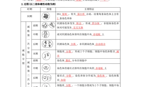 第3讲减数分裂和受精作用-精准备考备战2023年高考生物一轮复习精品讲义（生物学必修2）（解析版）_通用版（老高考）复习资料_2023年复习资料_一轮复习