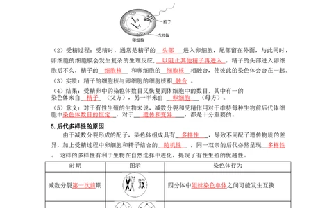 第3讲减数分裂和受精作用-精准备考备战2023年高考生物一轮复习精品讲义（生物学必修2）（解析版）_通用版（老高考）复习资料_2023年复习资料_一轮复习