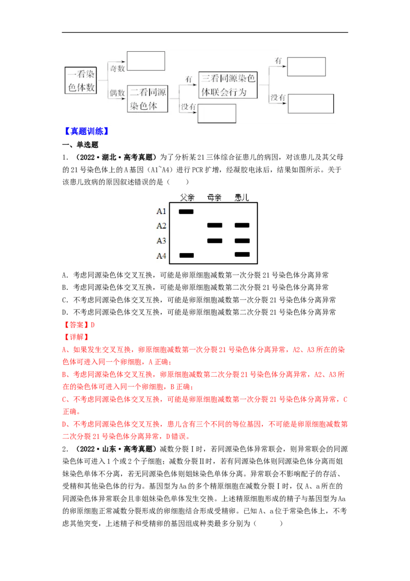 第3讲减数分裂和受精作用-精准备考备战2023年高考生物一轮复习精品讲义（生物学必修2）（解析版）_通用版（老高考）复习资料_2023年复习资料_一轮复习