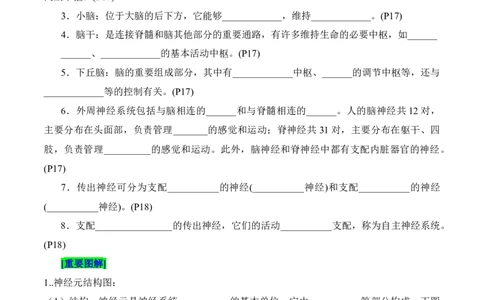 第2章神经调节（填空版）_新高考复习资料_2025年新高考资料_晨读晚默备战2025年高考生物必背知识清单_第2章神经调节-晨读晚默备战2025年高考生物必背知识清单