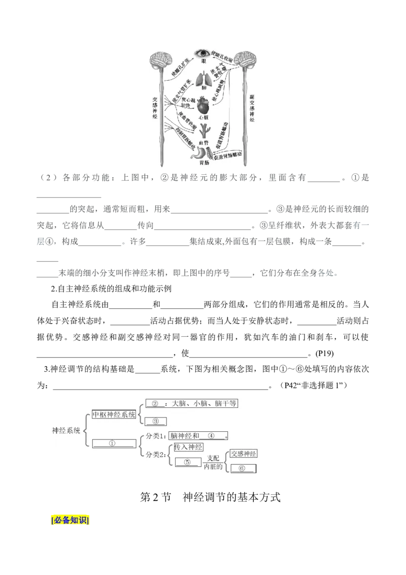 第2章神经调节（填空版）_新高考复习资料_2025年新高考资料_晨读晚默备战2025年高考生物必背知识清单_第2章神经调节-晨读晚默备战2025年高考生物必背知识清单