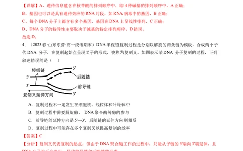第21讲DNA分子的结构、复制与基因的本质（练习）（解析版）_新高考复习资料_2024年新高考复习资料_一轮复习资料_完2024年高考生物一轮复习讲练测(课件+讲义+练习)（新高考）