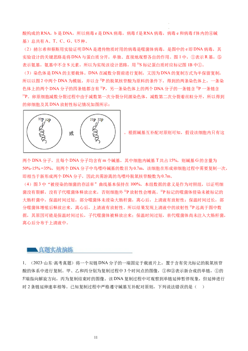 第21讲DNA分子的结构、复制与基因的本质（练习）（解析版）_新高考复习资料_2024年新高考复习资料_一轮复习资料_完2024年高考生物一轮复习讲练测(课件+讲义+练习)（新高考）