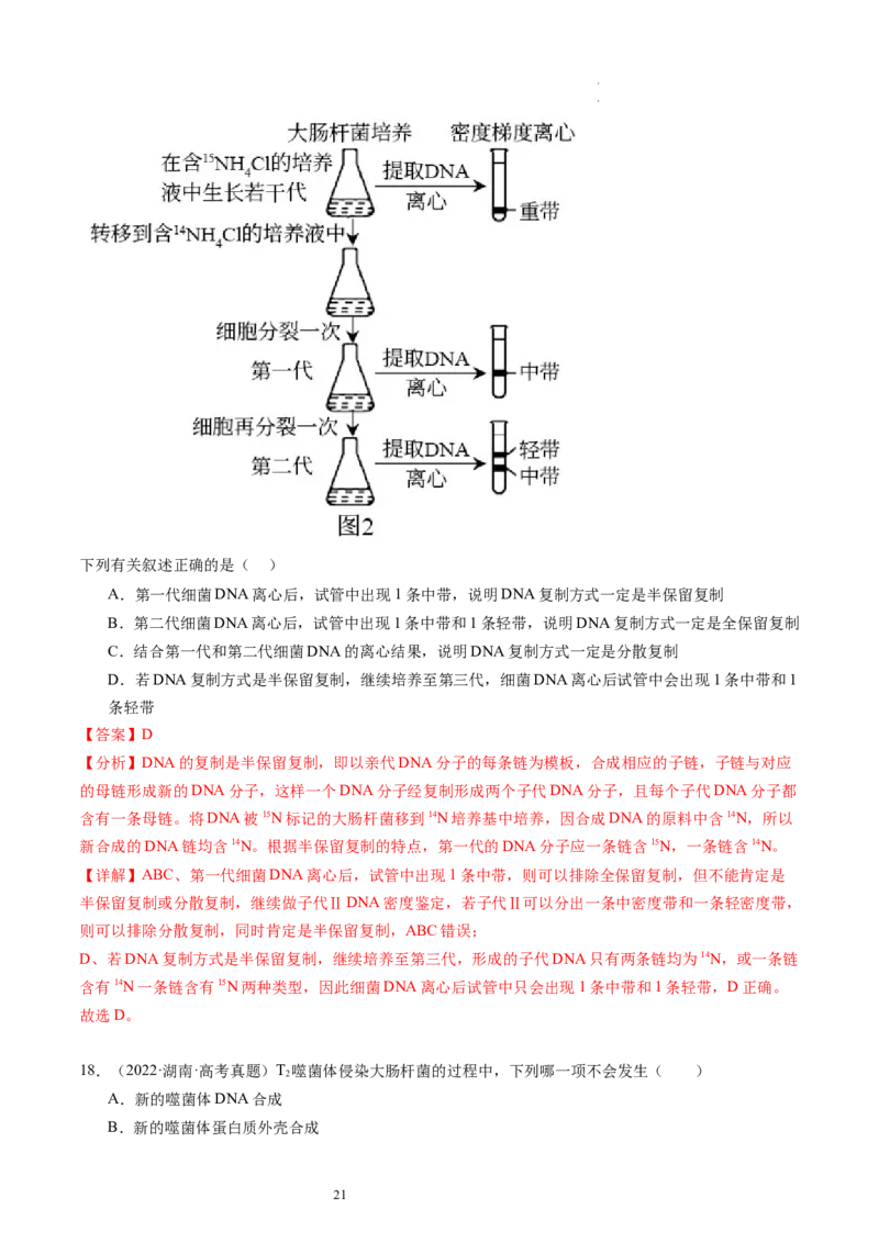 第21讲DNA分子的结构、复制与基因的本质（练习）（解析版）_新高考复习资料_2024年新高考复习资料_一轮复习资料_完2024年高考生物一轮复习讲练测(课件+讲义+练习)（新高考）