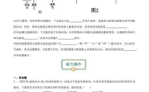 第3讲通过激素的调节（原卷版）_通用版（老高考）复习资料_2024年复习资料_完备战2024年高考生物一轮复习考点帮（全国通用）_专题九生命活动的调节