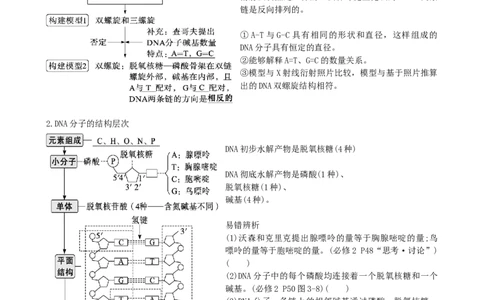 第21讲DNA分子的结构、复制与基因的本质（讲义）（学生版）_新高考复习资料_2024年新高考复习资料_一轮复习资料_完2024年高考生物一轮复习讲练测(课件+讲义+练习)（新高考）