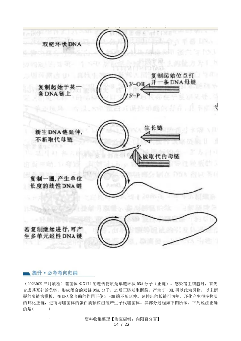 第21讲DNA分子的结构、复制与基因的本质（讲义）（学生版）_新高考复习资料_2024年新高考复习资料_一轮复习资料_完2024年高考生物一轮复习讲练测(课件+讲义+练习)（新高考）