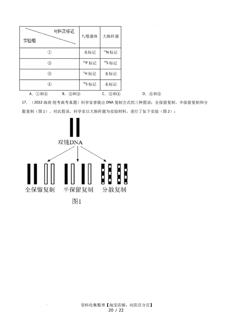 第21讲DNA分子的结构、复制与基因的本质（讲义）（学生版）_新高考复习资料_2024年新高考复习资料_一轮复习资料_完2024年高考生物一轮复习讲练测(课件+讲义+练习)（新高考）