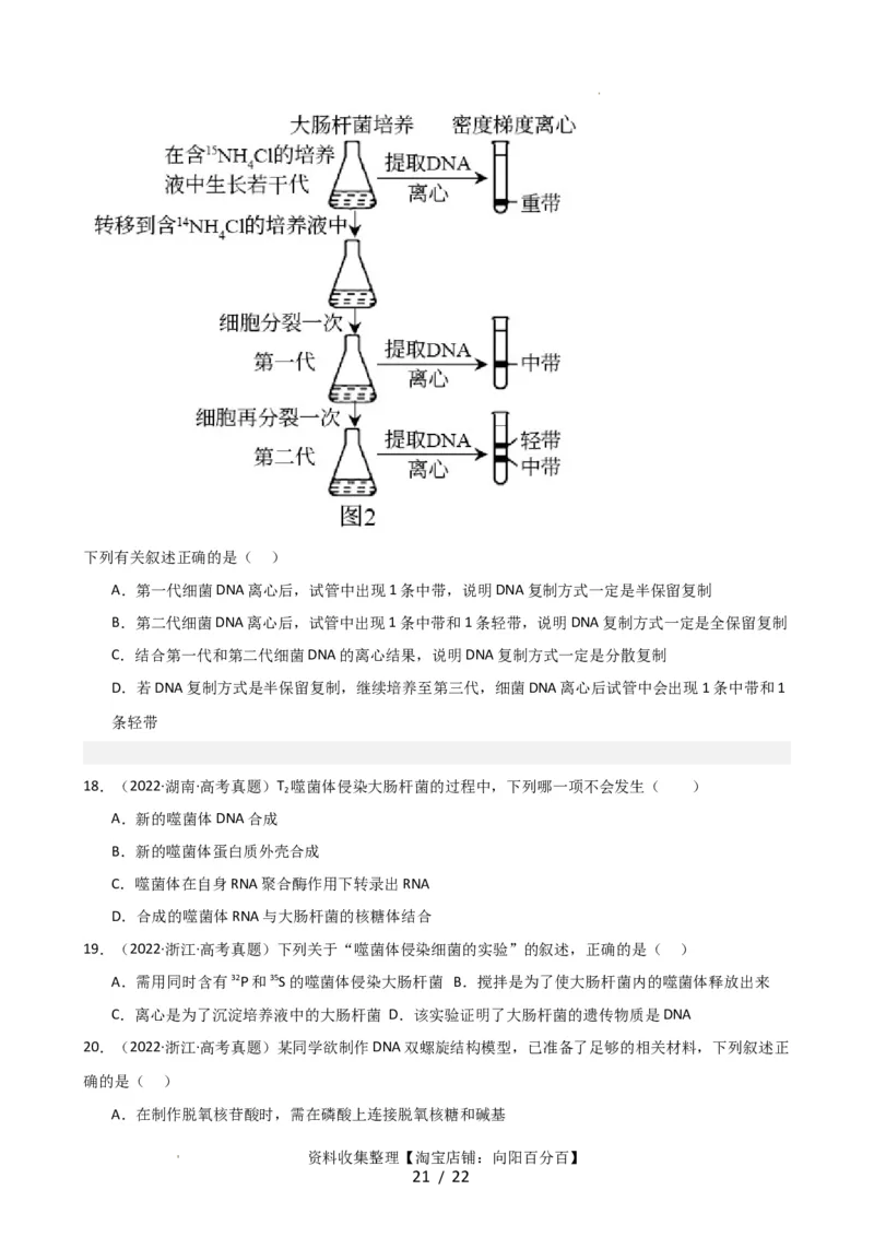 第21讲DNA分子的结构、复制与基因的本质（讲义）（学生版）_新高考复习资料_2024年新高考复习资料_一轮复习资料_完2024年高考生物一轮复习讲练测(课件+讲义+练习)（新高考）
