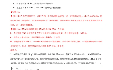 第3讲基因指导蛋白质的合成（解析版）_通用版（老高考）复习资料_2024年复习资料_完备战2024年高考生物一轮复习考点帮（全国通用）_专题七遗传的物质基础