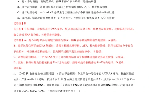 第3讲基因指导蛋白质的合成（解析版）_通用版（老高考）复习资料_2024年复习资料_完备战2024年高考生物一轮复习考点帮（全国通用）_专题七遗传的物质基础