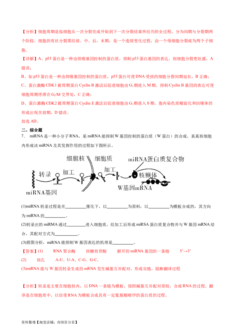 第3讲基因指导蛋白质的合成（解析版）_通用版（老高考）复习资料_2024年复习资料_完备战2024年高考生物一轮复习考点帮（全国通用）_专题七遗传的物质基础
