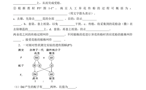 第1章遗传因子的发现（填空版）_2025年新高考资料_专项复习_晨读晚默备战2025年高考生物必背知识清单_第1章遗传因子的发现-晨读晚默备战2025年高考生物必背知识清单