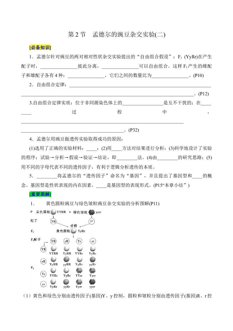 第1章遗传因子的发现（填空版）_2025年新高考资料_专项复习_晨读晚默备战2025年高考生物必背知识清单_第1章遗传因子的发现-晨读晚默备战2025年高考生物必背知识清单