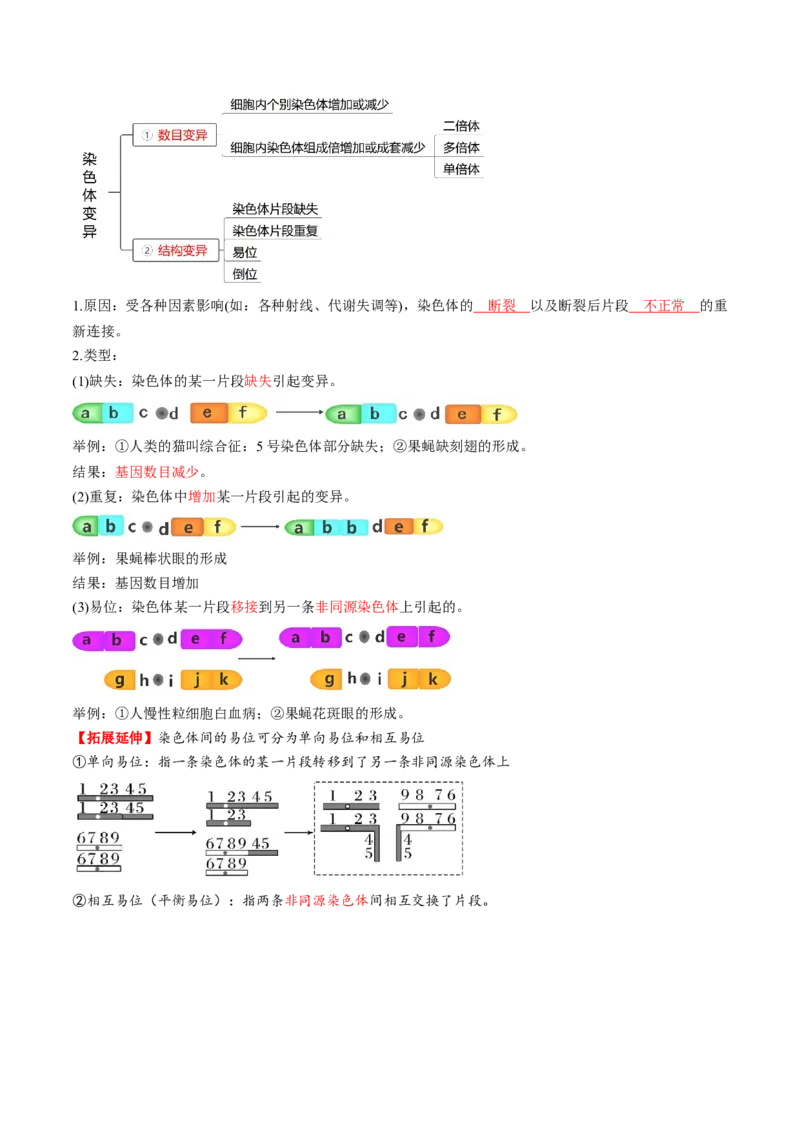 第22讲生物的变异（第二课时，染色体变异）（讲义）（解析版）_2025年新高考资料_一轮复习_2025年高考生物一轮复习讲练测（新教材新高考）